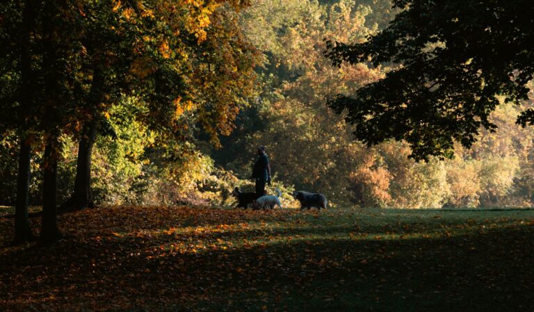 Older adult walking