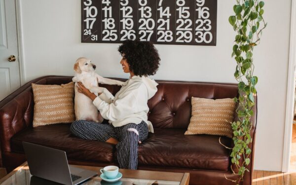 Choosing a large dog breed: size, energy and everyday life with a big companion