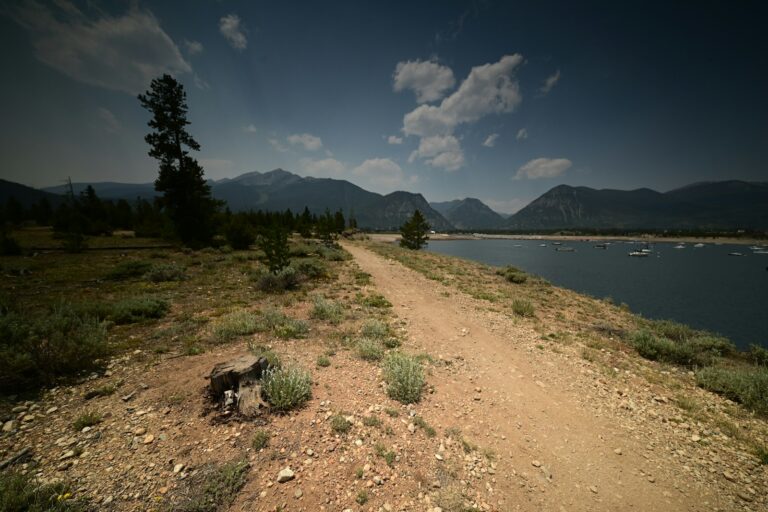 Dog hiking mountain