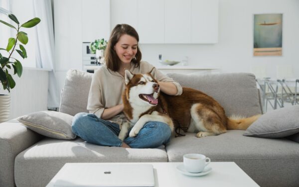 Daily dog routines that support health, calm behavior and stronger bonding