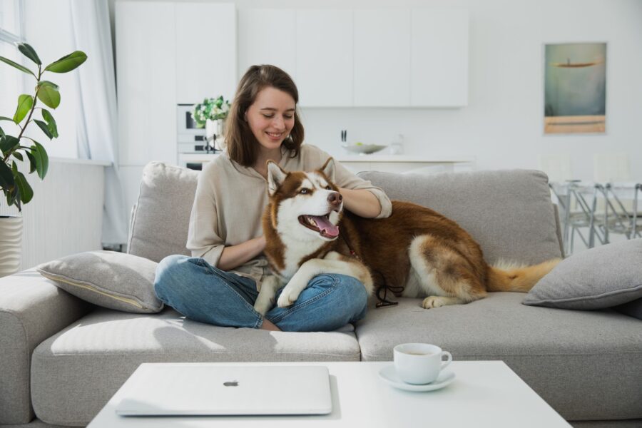 Happy dog daily