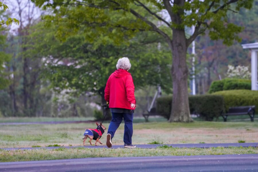 Dog owner morning