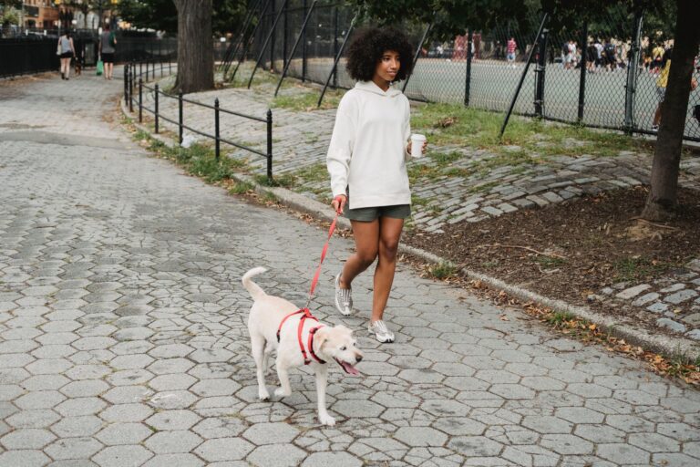 Dog owner morning