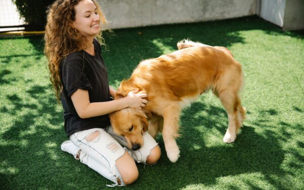 Dog allergy basics for owners: common triggers, signs and simple prevention steps
