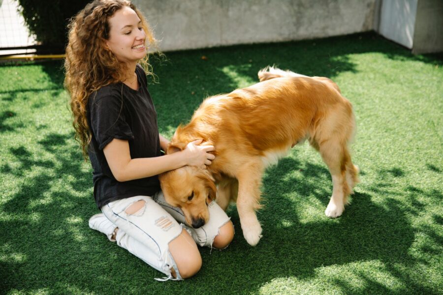 Itchy dog scratching