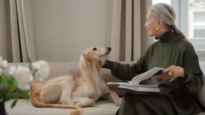 Dog coughing basics: what it can mean and when to call the vet
