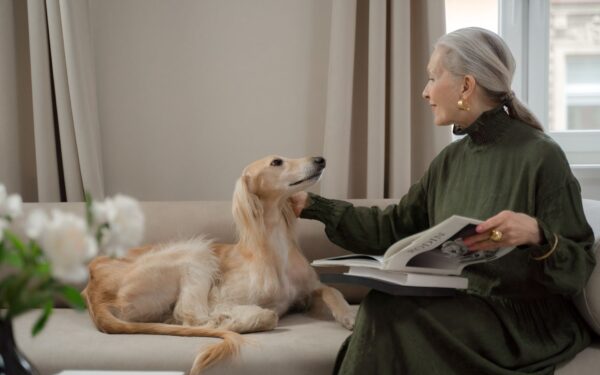 Dog coughing basics: what it can mean and when to call the vet