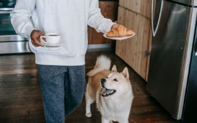 Everyday rituals with your dog that make life feel calmer and more connected