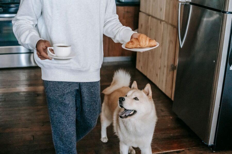 Dog owner morning