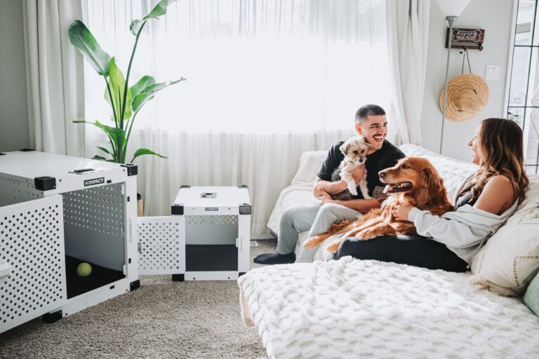 Dog crate safe