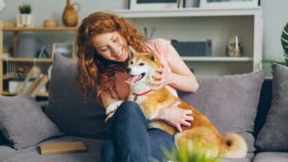 First weeks with a medium-sized dog: calm routines, care basics and getting off to a good start