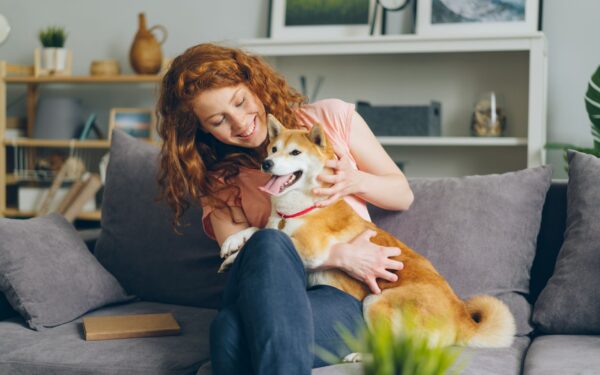 First weeks with a medium-sized dog: calm routines, care basics and getting off to a good start