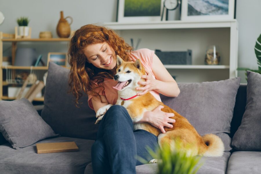 Medium dog home