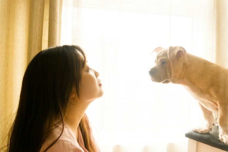 Nervous dog indoors