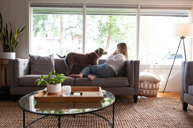 Dog living room