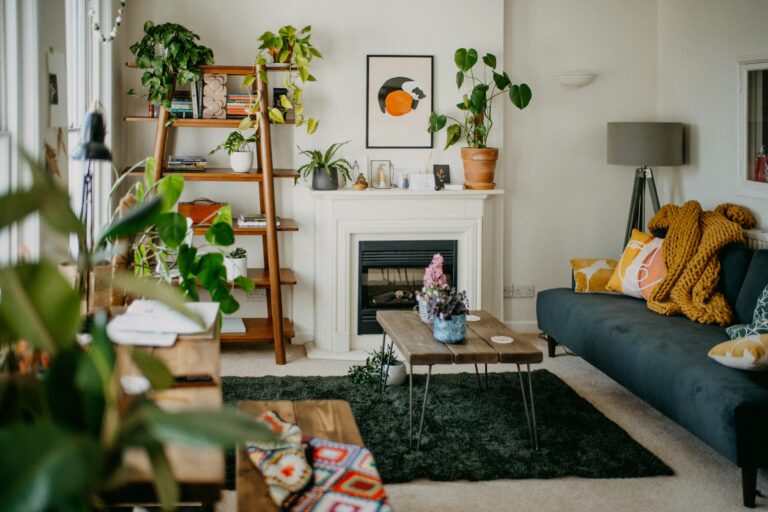 Dog living room