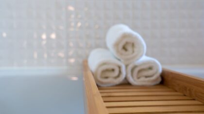How to bathe your dog at home without stress or mess