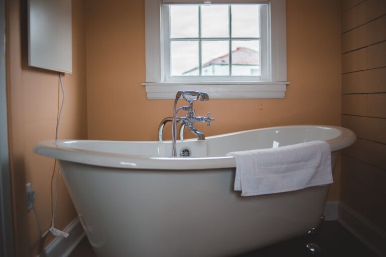 Dog bath tub