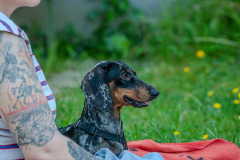 Dog owner relaxing