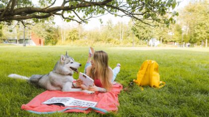 How to plan dog-friendly picnics that are safe, calm and genuinely fun