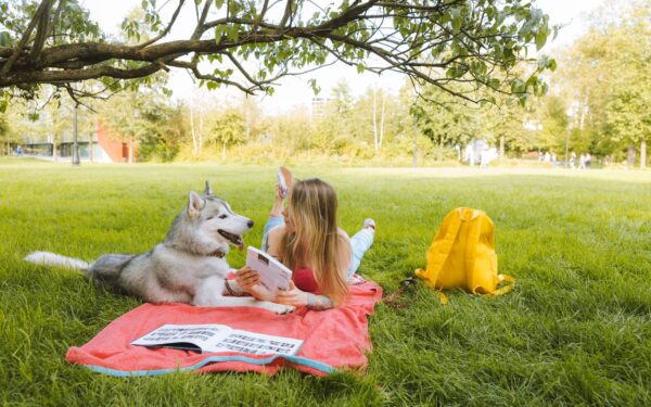 How to plan dog-friendly picnics that are safe, calm and genuinely fun