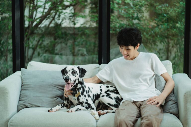 Dog owner checking