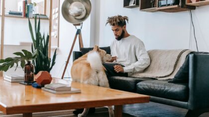 How to spot early health warning signs in your dog before they get serious