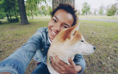 Kind recall foundations for puppies: starting early so coming back feels safe and fun