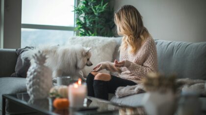 Medium-sized family dogs that fit into real life: traits, care and choosing well