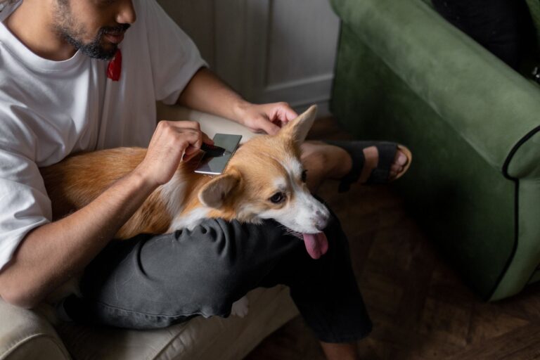 Dog grooming home