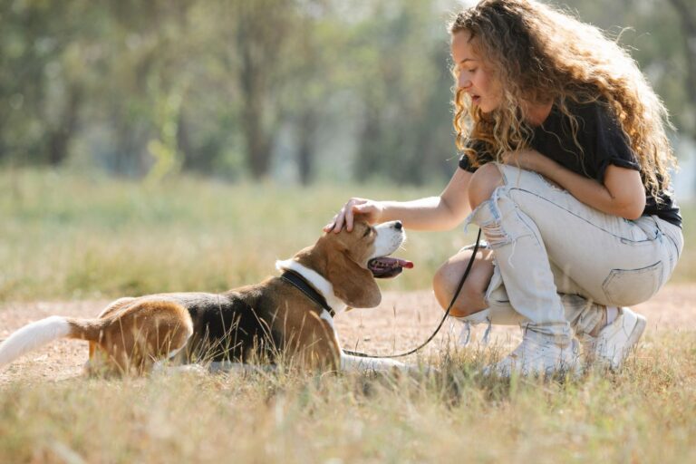 Dog stress signals
