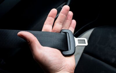 Safe and calm car rides with your dog: a beginner’s guide to road trip safety