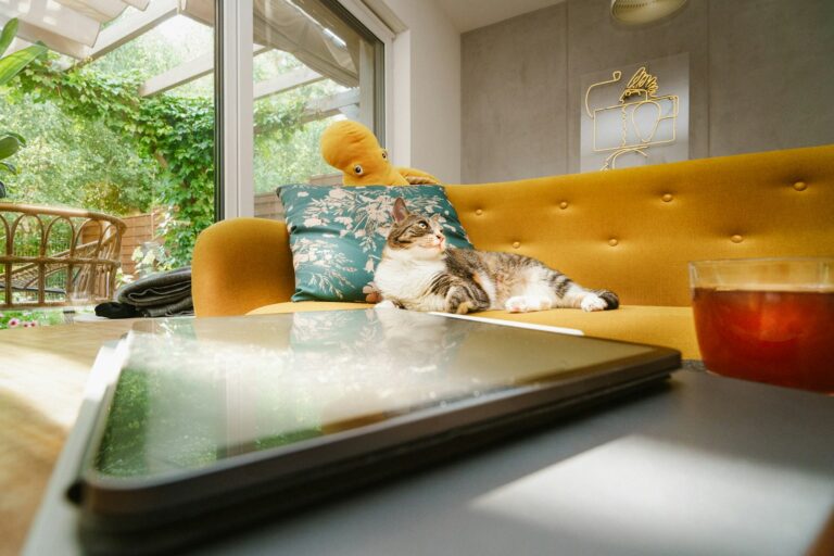 Dog cat relaxing