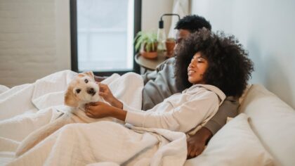 Simple budget upgrades that make everyday life nicer for your dog