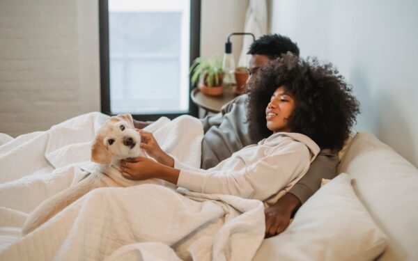Simple budget upgrades that make everyday life nicer for your dog
