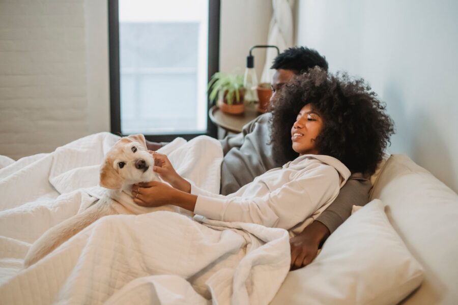 Happy dog indoors