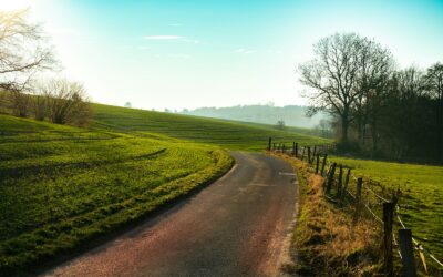 Simple country routines that make life richer for you and your dog