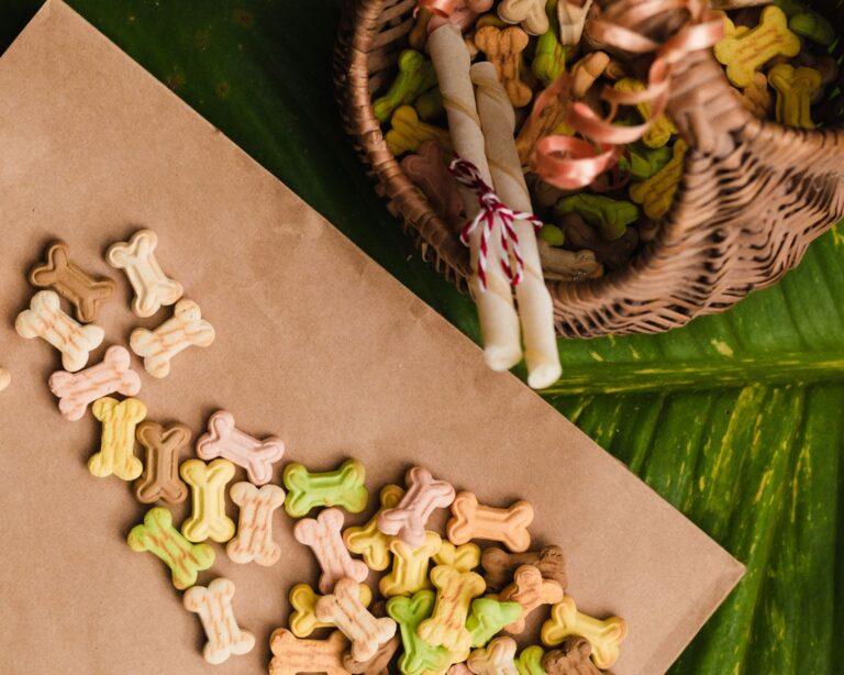 Dog sniffing treats