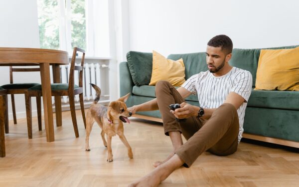 Simple DIY dog toys you can actually make from things at home