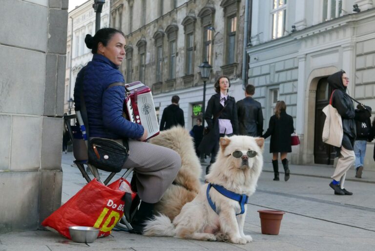 Dog shoulder carrier