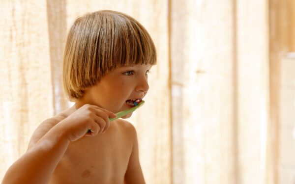 Simple dog dental care at home that really works over time