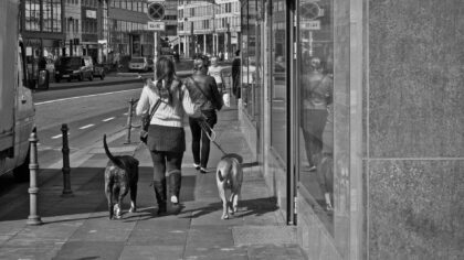 Simple dog exercise ideas that fit into busy urban life