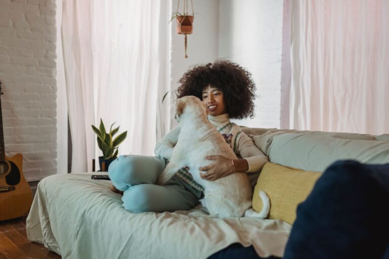 Dog owner evening