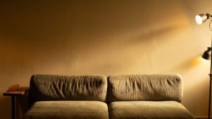 Simple evening routines with your dog that turn the end of the day into quality time