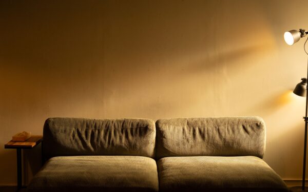 Simple evening routines with your dog that turn the end of the day into quality time