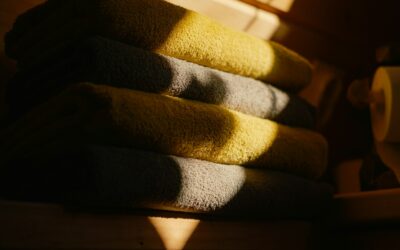 Simple home hygiene habits that help your dog stay clean and comfortable