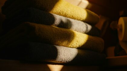 Simple home hygiene habits that help your dog stay clean and comfortable