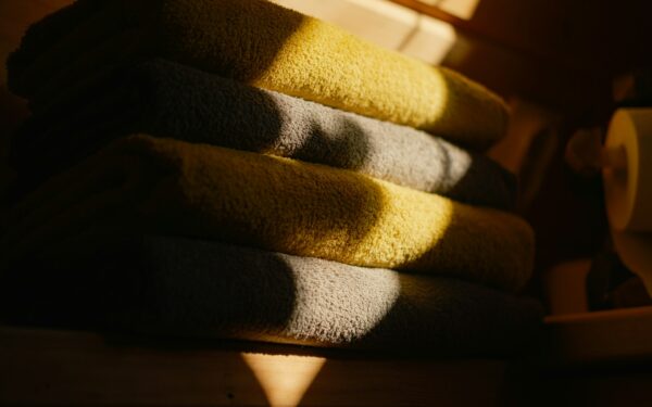 Simple home hygiene habits that help your dog stay clean and comfortable