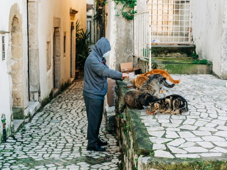 Dog owner wiping
