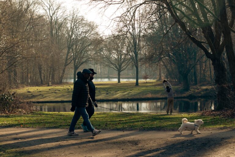 Dog walking early
